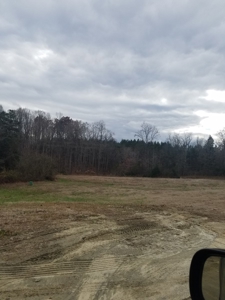 Mebane NC poutry farm - Caswell Co. Layer farm - image 4