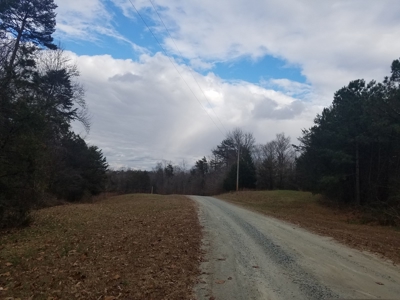 Mebane NC poutry farm - Caswell Co. Layer farm - image 7