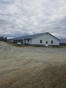 Mebane NC poutry farm - Caswell Co. Layer farm - image 10