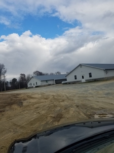 Mebane NC poutry farm - Caswell Co. Layer farm - image 15