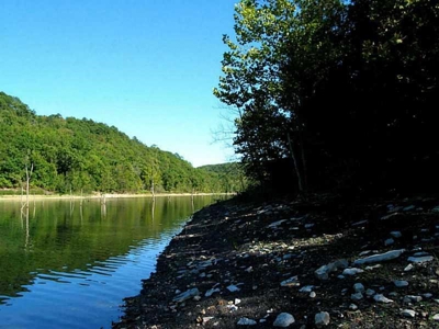 Lakefront Beaver Lake property with docks!  Build here! - image 2