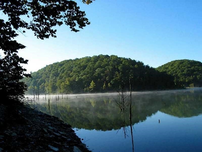 Lakefront Beaver Lake property with docks!  Build here! - image 5