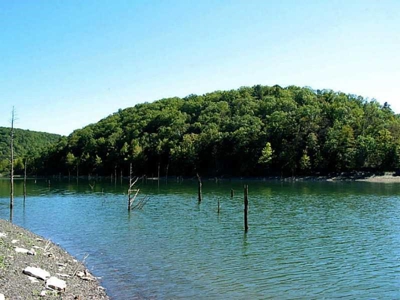 Lakefront Beaver Lake property with docks!  Build here! - image 4