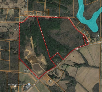 150 AC White Oak and Pine Plantation-Morgan Co AL - image 3