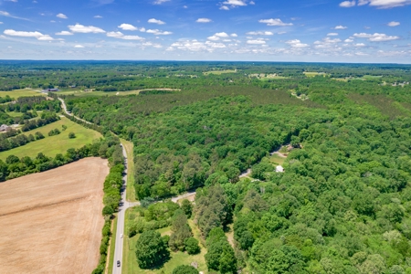 150 AC White Oak and Pine Plantation-Morgan Co AL - image 18