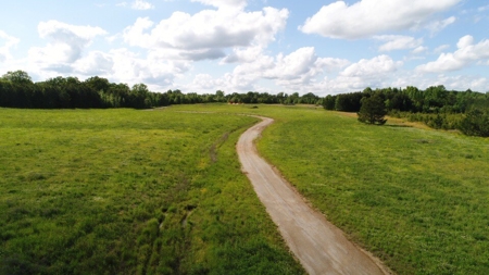 150 AC White Oak and Pine Plantation-Morgan Co AL - image 9