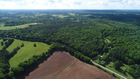 150 AC White Oak and Pine Plantation-Morgan Co AL - image 8