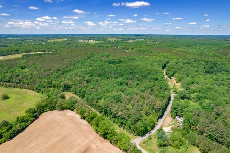 150 AC White Oak and Pine Plantation-Morgan Co AL - image 25