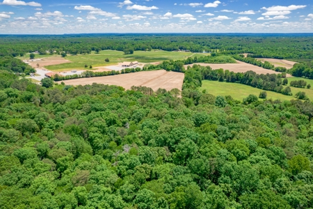 150 AC White Oak and Pine Plantation-Morgan Co AL - image 19