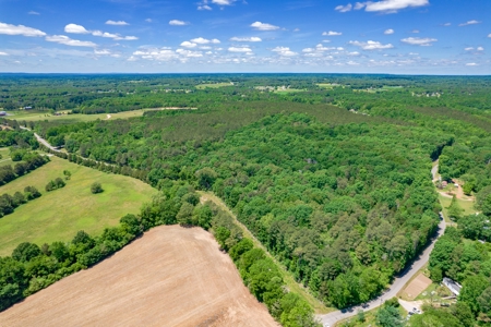 150 AC White Oak and Pine Plantation-Morgan Co AL - image 26