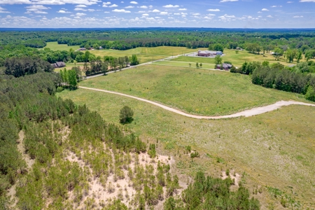 150 AC White Oak and Pine Plantation-Morgan Co AL - image 12