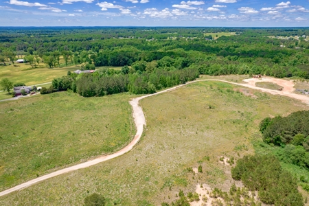 150 AC White Oak and Pine Plantation-Morgan Co AL - image 15