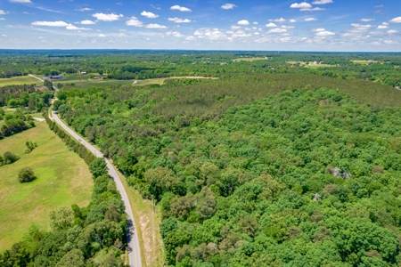 150 AC White Oak and Pine Plantation-Morgan Co AL - image 20