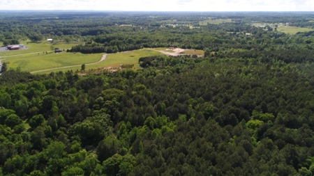 150 AC White Oak and Pine Plantation-Morgan Co AL - image 7