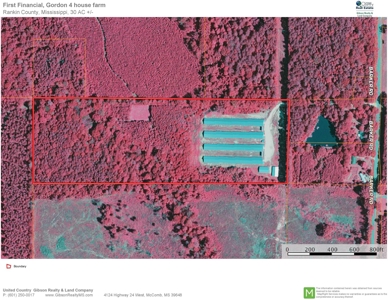4 Broiler House Poultry Farm & Land for Sale Rankin Co MS - image 3