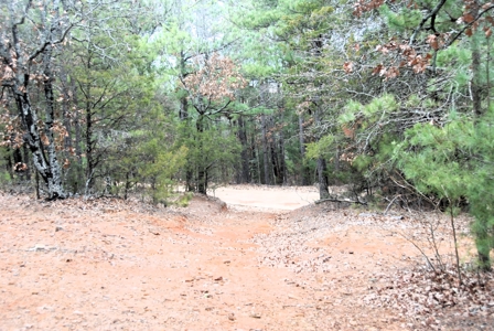 Tyler Texas Wooded Land for Sale in Smith County Tyler - image 11