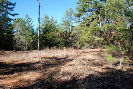 Tyler Texas Wooded Land for Sale in Smith County Tyler - image 4