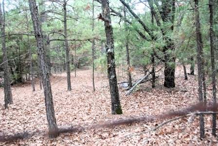 Tyler Texas Wooded Land for Sale in Smith County Tyler - image 6