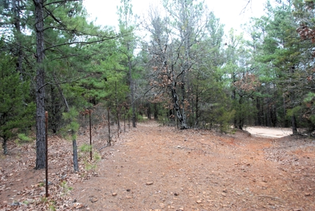 Tyler Texas Wooded Land for Sale in Smith County Tyler - image 12