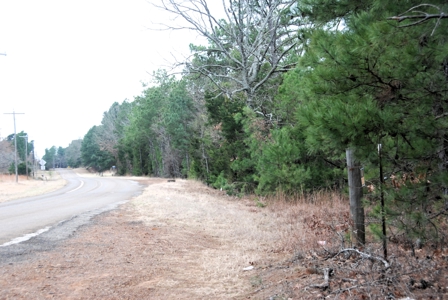 Tyler Texas Wooded Land for Sale in Smith County Tyler - image 15