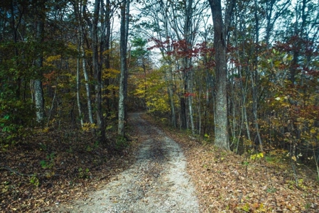 Floyd VA Home for Sale - Amazing Blue Ridge Parkway Views! - image 2