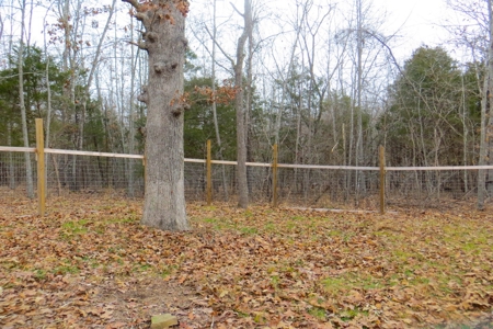 Cabin With Acreage for Sale in the Ozarks - image 4