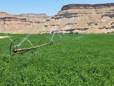 Utah ranch for sale, farm for sale irrigated acreage hemp - image 6