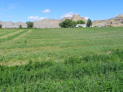 Utah ranch for sale, farm for sale irrigated acreage hemp - image 11