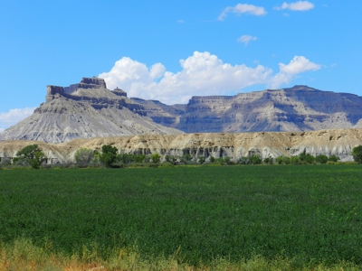 Utah ranch for sale, farm for sale irrigated acreage hemp - image 14