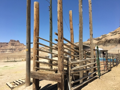 Utah ranch for sale, farm for sale irrigated acreage hemp - image 21