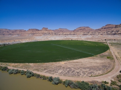 Utah ranch for sale, farm for sale irrigated acreage hemp - image 4