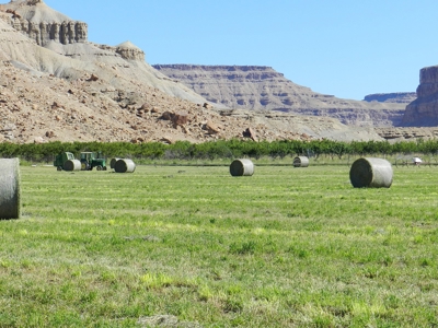 Utah ranch for sale, farm for sale irrigated acreage hemp - image 13