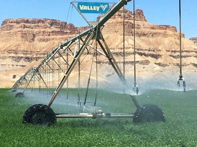 Utah ranch for sale, farm for sale irrigated acreage hemp - image 1