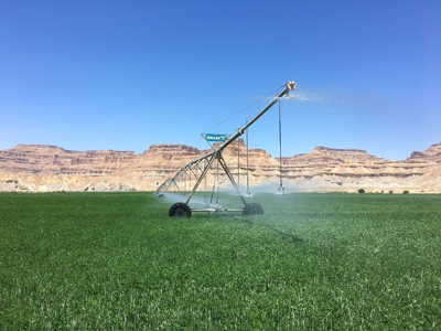 Utah ranch for sale, farm for sale irrigated acreage hemp - image 3
