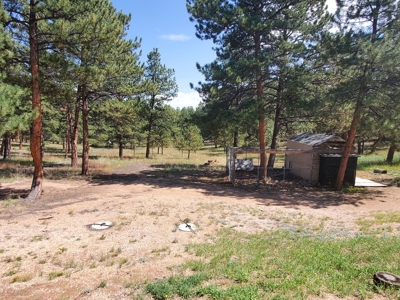 Mountain Home  in Florissant Colorado - image 20