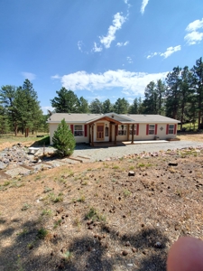 Mountain Home  in Florissant Colorado - image 25