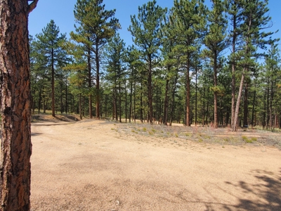 Mountain Home  in Florissant Colorado - image 23