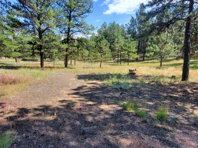 Mountain Home  in Florissant Colorado - image 21