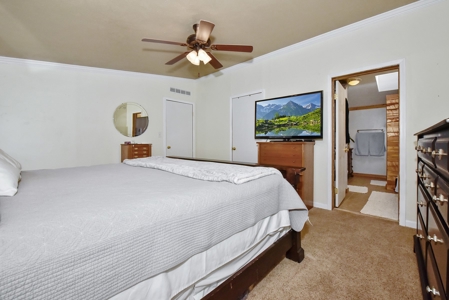 Mountain Home  in Florissant Colorado - image 15