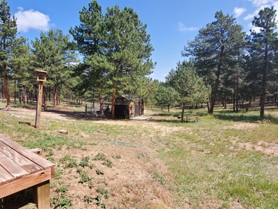 Mountain Home  in Florissant Colorado - image 19