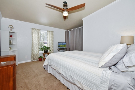Mountain Home  in Florissant Colorado - image 1
