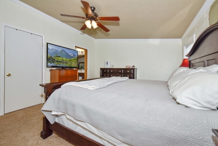 Mountain Home  in Florissant Colorado - image 14