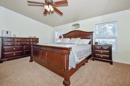 Mountain Home  in Florissant Colorado - image 18