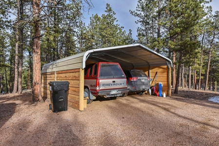 Mountain Home  in Florissant Colorado - image 7