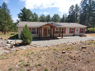 Mountain Home  in Florissant Colorado - image 24