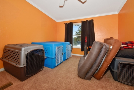 Mountain Home  in Florissant Colorado - image 2