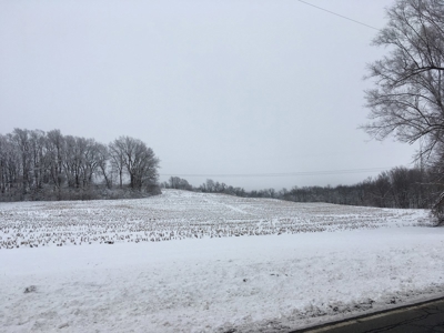 26.68+/- Acres of Land South of St. Joseph, MO For Sale - image 3