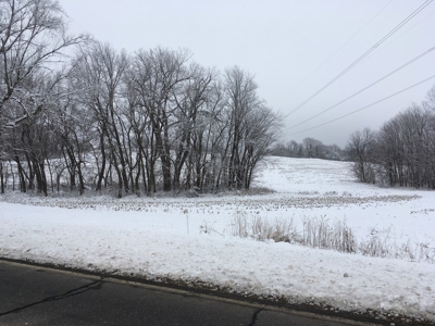 26.68+/- Acres of Land South of St. Joseph, MO For Sale - image 5