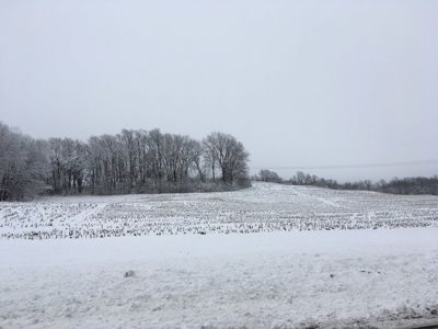 26.68+/- Acres of Land South of St. Joseph, MO For Sale - image 4