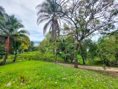 Beautiful Beachfront House in Bocas del Drago Panama - image 10